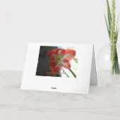 Denk aan jou, Stargazer Amaryllis Kaart (Achterkant)