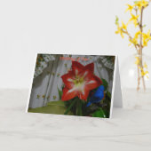 Denk aan jou, Stargazer Amaryllis Kaart (Gele Bloem)