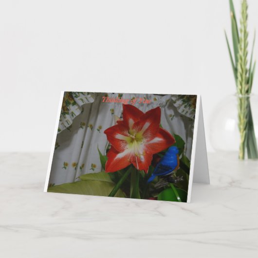 Denk aan jou, Stargazer Amaryllis Kaart (Voorkant)