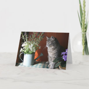 'Denk aan jou', Tabby Cat Card Kaart