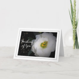 Denk aan jou White Lisianthus Kaart