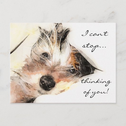 Denk aan jou Yorkie  Briefkaart (Voorkant)