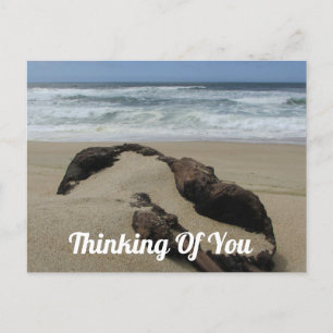 Denk Aan Jou Zand Drijfhout Strand Pas Op Briefkaart