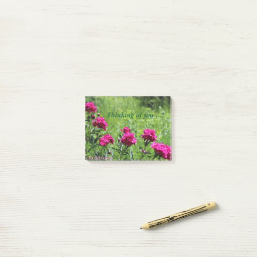 Denk aan jullie pinda's post-it® notes (Op bureau)