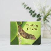 Denk aan jullie rebellie Gecko vriendschap Briefkaart (Staand voorkant)