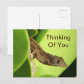 Denk aan jullie rebellie Gecko vriendschap Briefkaart (Voorkant / Achterkant)