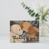 Denk aan jullie teddyberen briefkaart (Staand voorkant)