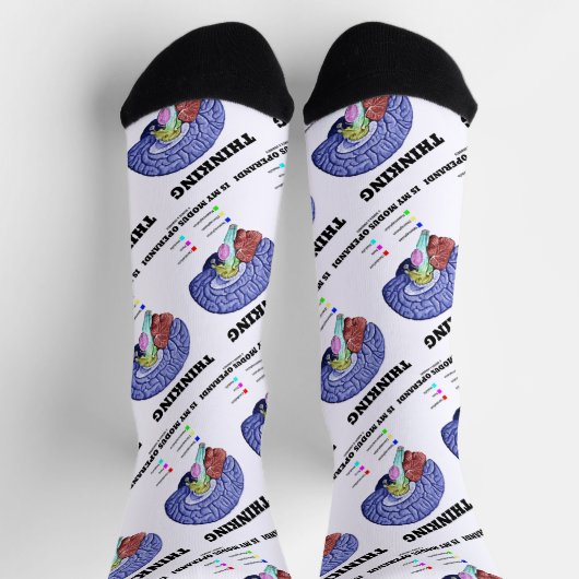 Denk aan mijn Modus Operandi Brain Anatomie Sokken (Top)