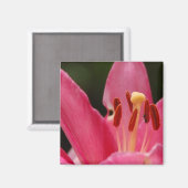 Denk aan Pink Lily Magnet (Voorkant / Achterkant)