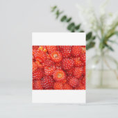 DENK AAN RASPBERRY! BRIEFKAART (Staand voorkant)