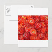 DENK AAN RASPBERRY! BRIEFKAART (Voorkant / Achterkant)