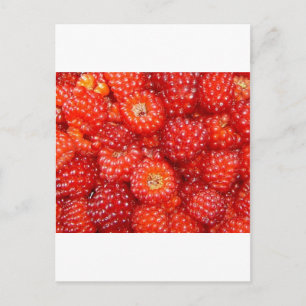 DENK AAN RASPBERRY! BRIEFKAART