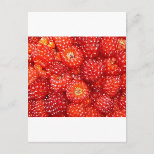 DENK AAN RASPBERRY! BRIEFKAART (Voorkant)
