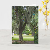 Denk aan Spaanse mos en krinters Kaart (Gele Bloem)