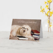 DENK AAN U - Domme hond in leesglas Kaart (Gele Bloem)