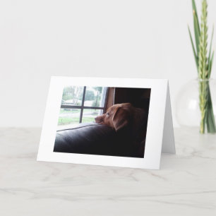 DENK AAN U EN VERMIST U TE ZEGGEN POPPY ZEGT: KAART