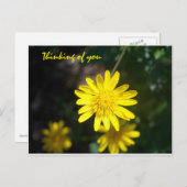 Denk aan u - Gele Daisy Briefkaart (Voorkant / Achterkant)