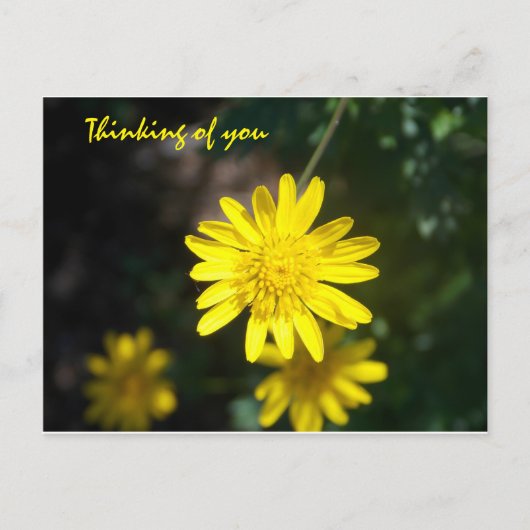 Denk aan u - Gele Daisy Briefkaart (Voorkant)