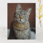 DENK AAN U HANDSOME TABBY CAT-WENSKAARTEN KAART (Gele Bloem)