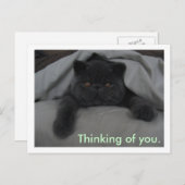 Denk aan u - ik mis u - Briefkaart kat (Voorkant / Achterkant)