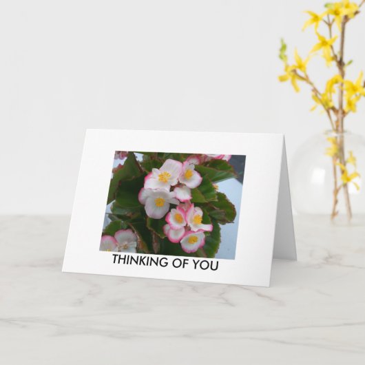 DENK AAN U KAART (Gele Bloem)