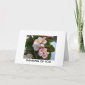 DENK AAN U KAART (Voorkant)