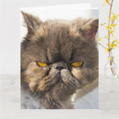DENK AAN U PERSIAN CAT-WENSKAARTEN KAART (Gele Bloem)