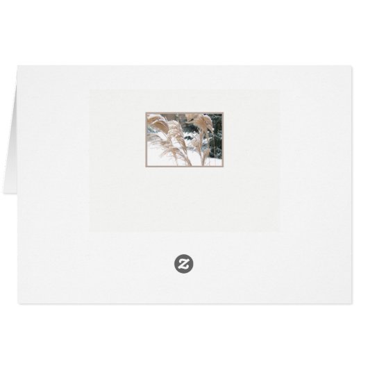 DENK AAN U/SNEEUWGEDEKTE ORNAMENTALE GRAS (Achterkant Horizontaal)