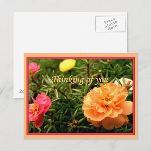 Denk aan U Vloeiende Briefkaarten 8 verpakking (Voorkant / Achterkant)