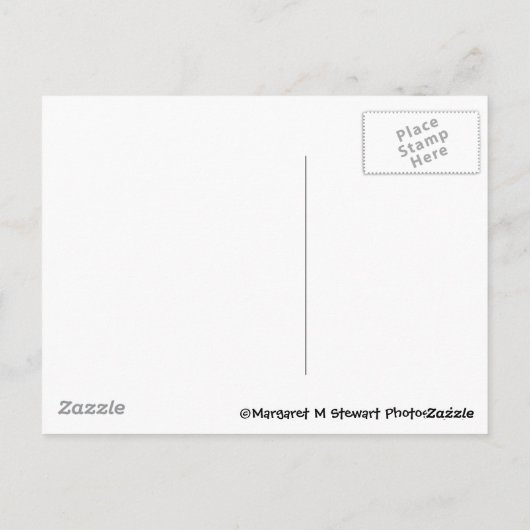 Denk aan uw chipmunk briefkaart (Achterkant)