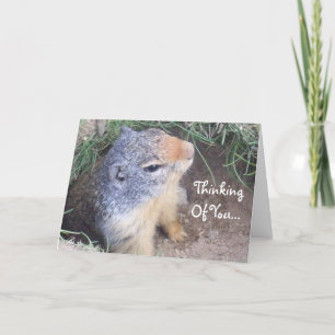Denk aan uw "Groundhog Card" Kaart