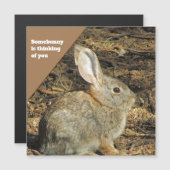 Denk aan You Brown Bunny Foto Natuur Animal (Voorkant / Achterkant)