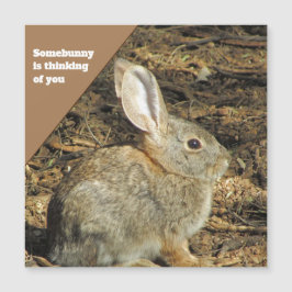 Denk aan You Brown Bunny Foto Natuur Animal