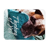 Denk aan You Bulldog Photo Sympathie Magnet Magneet (Horizontaal)