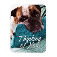 Denk aan You Bulldog Photo Sympathie Magnet