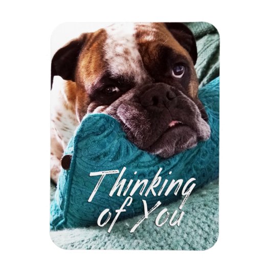 Denk aan You Bulldog Photo Sympathie Magnet Magneet (Verticaal)