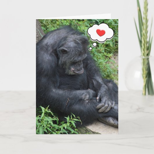 Denk aan You Chimpansee Kaart (Voorkant)