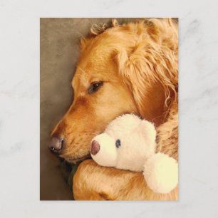 Denk aan You Cute Sad Golden Retriever Dog Pet Briefkaart