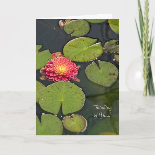 Denk aan You dahlia in lily pads Kaart (Voorkant)