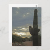 Denk aan You Saguaro Cactus Photo Peace Briefkaart (Voorkant / Achterkant)