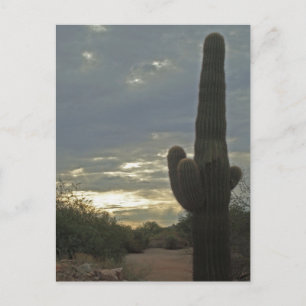 Denk aan You Saguaro Cactus Photo Peace Briefkaart