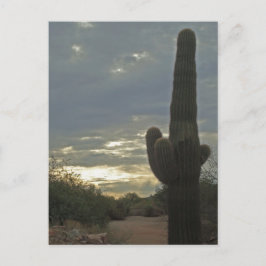 Denk aan You Saguaro Cactus Photo Peace Briefkaart