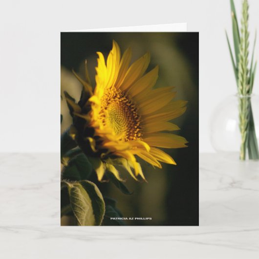 Denk aan You Sunflower Light PhotoTemplate Kaart (Voorkant)