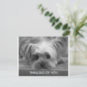 Denk aan You Yorkshire Terrier Puppy Briefkaart (Staand voorkant)