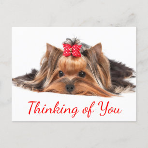Denk aan You Yorkshire Terrier Puppy Dog Hallo Briefkaart