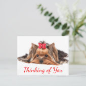 Denk aan You Yorkshire Terrier Puppy Dog Hallo Briefkaart (Staand voorkant)