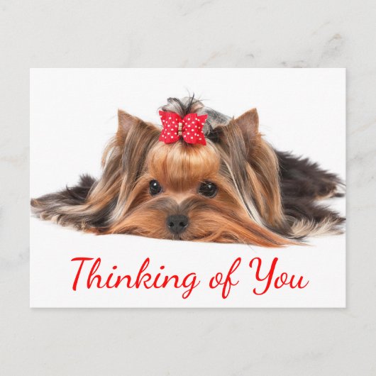 Denk aan You Yorkshire Terrier Puppy Dog Hallo Briefkaart (Voorkant)