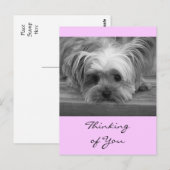 Denk aan You Yorkshire Terrier Puppy Post Card Briefkaart (Voorkant / Achterkant)