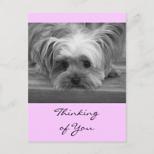 Denk aan You Yorkshire Terrier Puppy Post Card Briefkaart