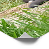 Denk anders aan Fox Poster (Hoek)